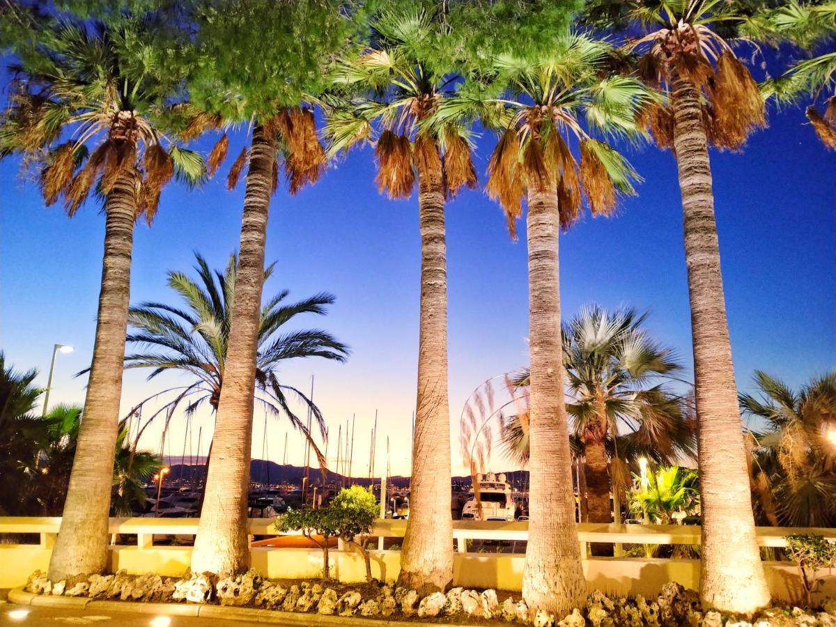 Apartament La Californie Views Cannes Zewnętrze zdjęcie